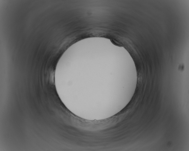 X0000091990046200710041138