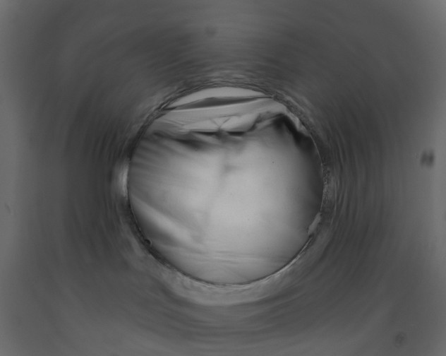 X0000091990047200710041138
