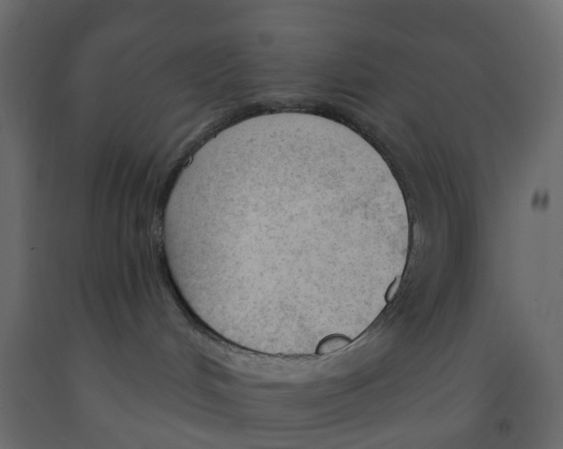 X0000091990048200710041138