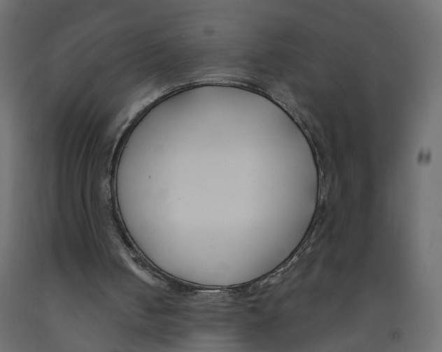 X0000091990050200710041138