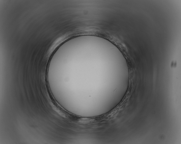 X0000091990051200710041138