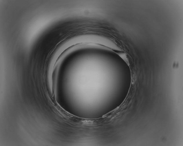 X0000091990052200710041138