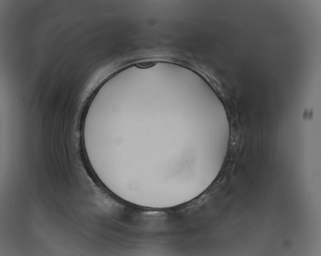 X0000091990053200710041138