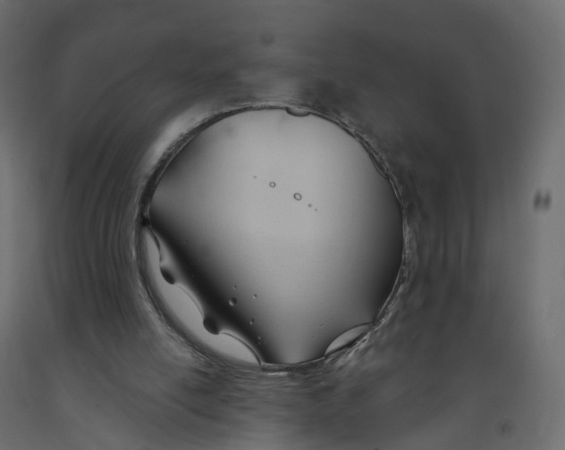 X0000091990054200710041138