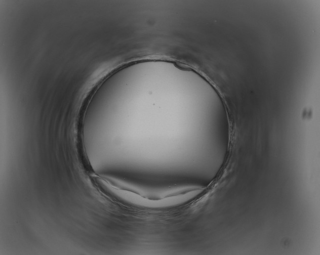 X0000091990055200710041138