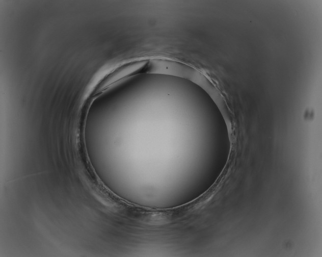 X0000091990056200710041138