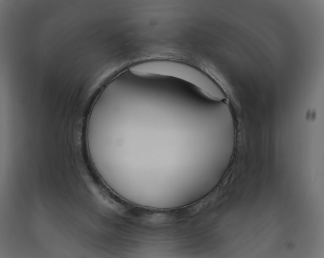 X0000091990058200710041138