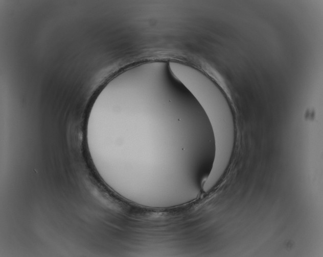 X0000091990059200710041138