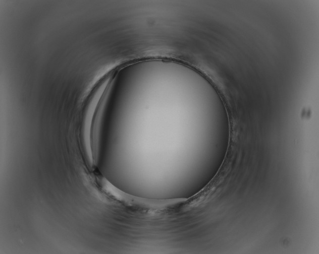 X0000091990060200710041138