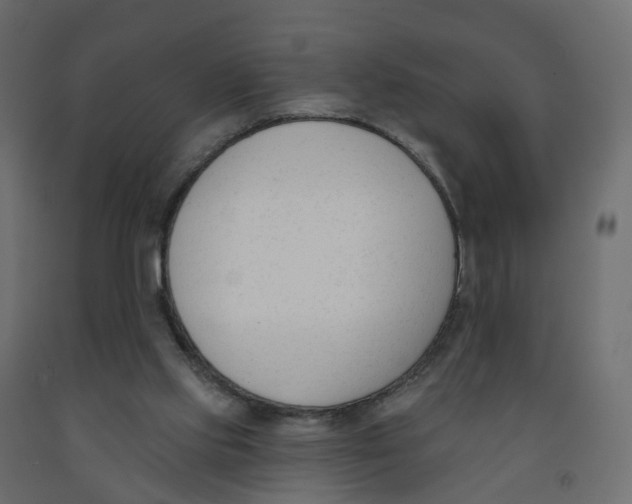 X0000091990061200710041138