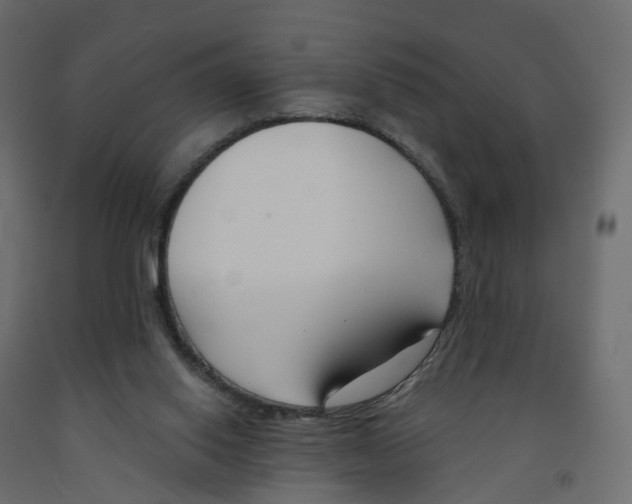 X0000091990062200710041138