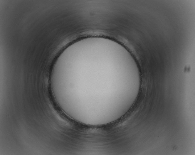 X0000091990063200710041138