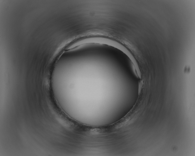 X0000091990064200710041138