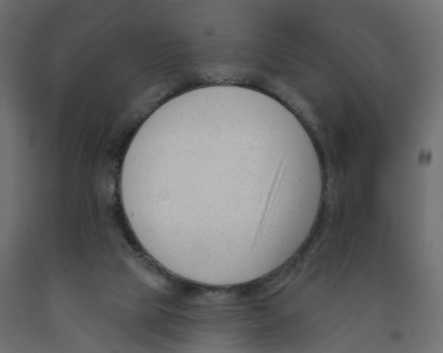 X0000091990065200710041138