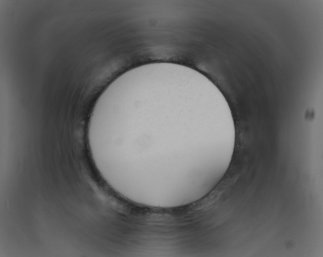 X0000091990066200710041138