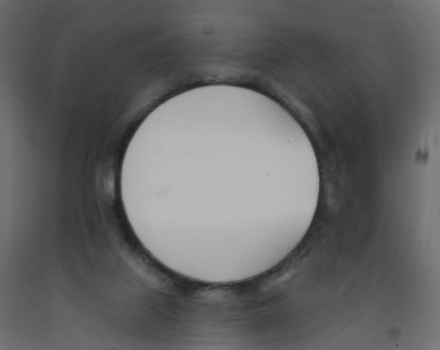 X0000091990067200710041138