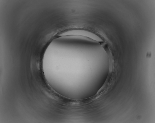 X0000091990068200710041138