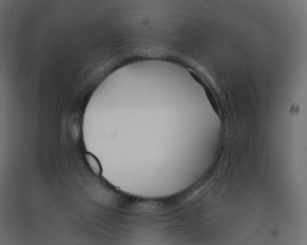 X0000091990069200710041138