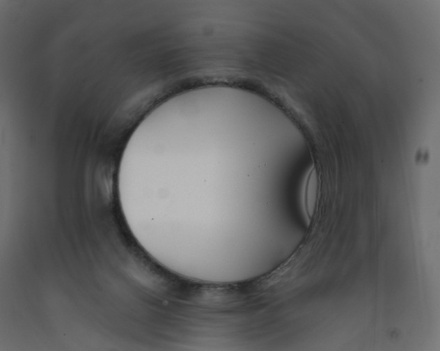 X0000091990070200710041138