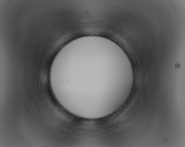 X0000091990071200710041138