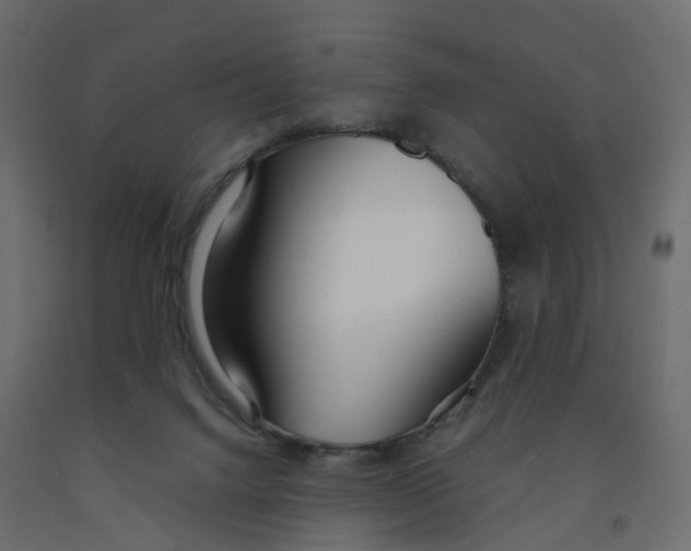 X0000091990072200710041138