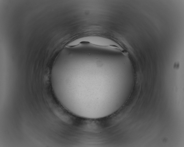 X0000091990073200710041138