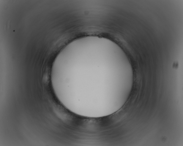 X0000091990074200710041138