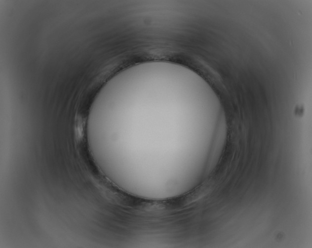 X0000091990075200710041138