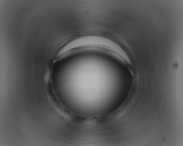 X0000091990076200710041138