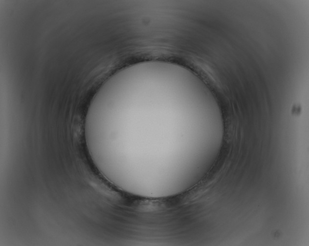 X0000091990077200710041138