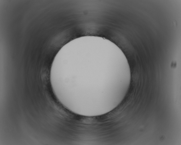 X0000091990079200710041138