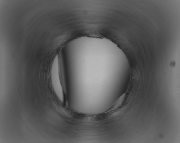 X0000091990080200710041138