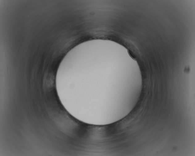 X0000091990081200710041138