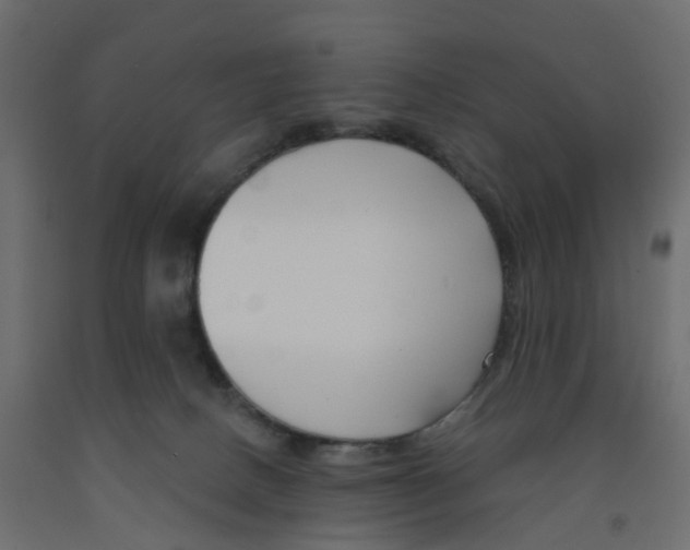 X0000091990082200710041138