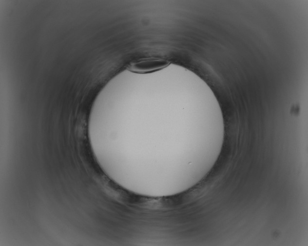 X0000091990083200710041138