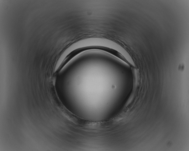X0000091990084200710041138