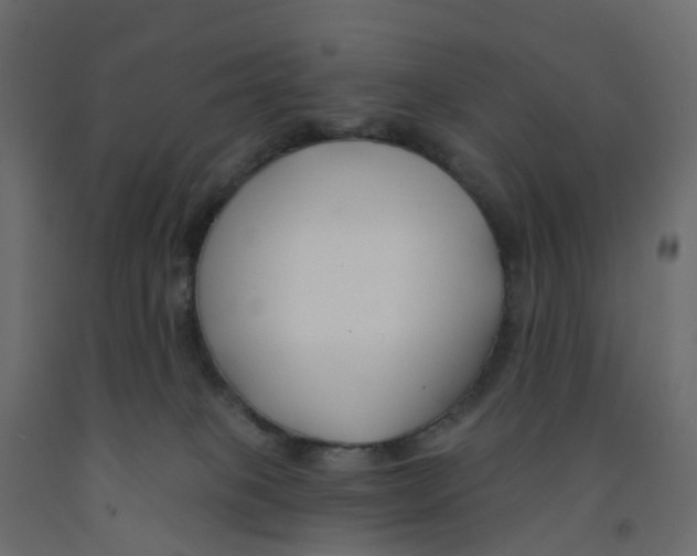 X0000091990085200710041138