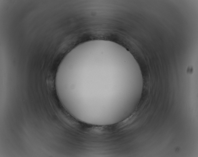 X0000091990086200710041138