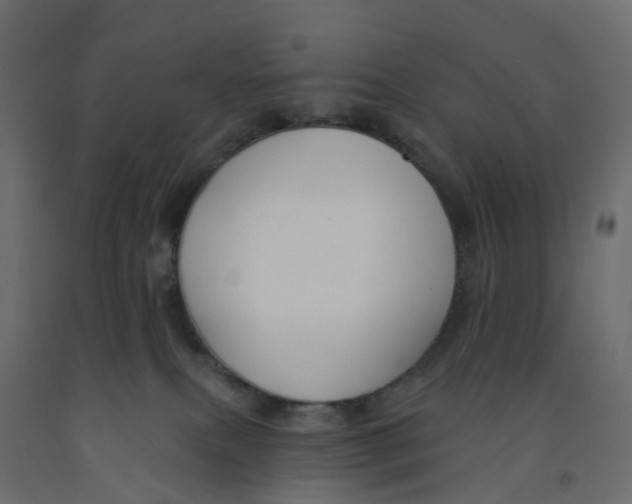 X0000091990087200710041138