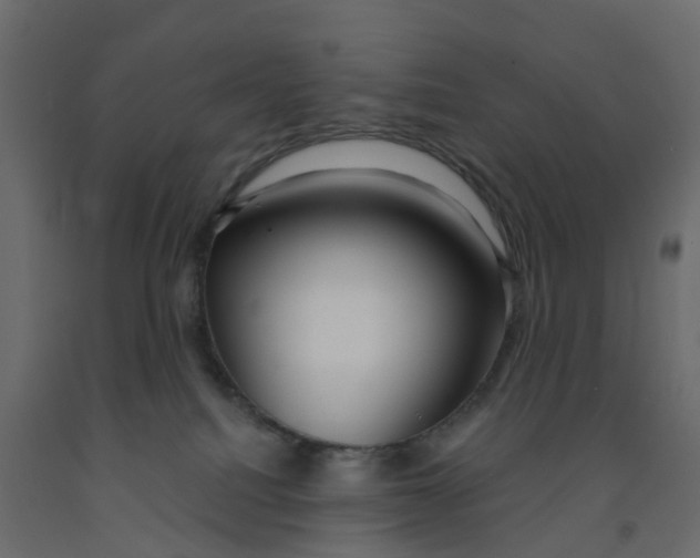 X0000091990088200710041138