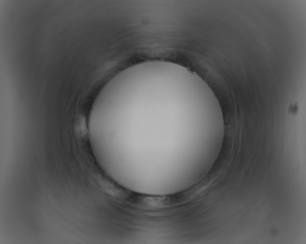 X0000091990089200710041138