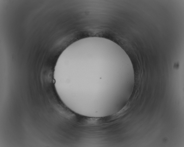 X0000091990090200710041138