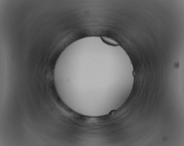 X0000091990091200710041138