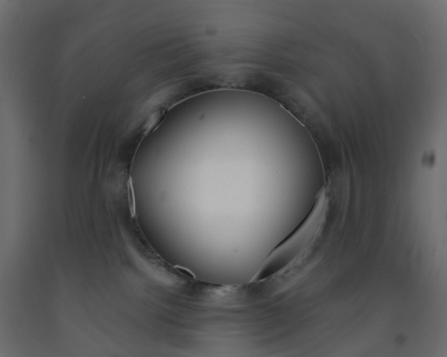 X0000091990092200710041138