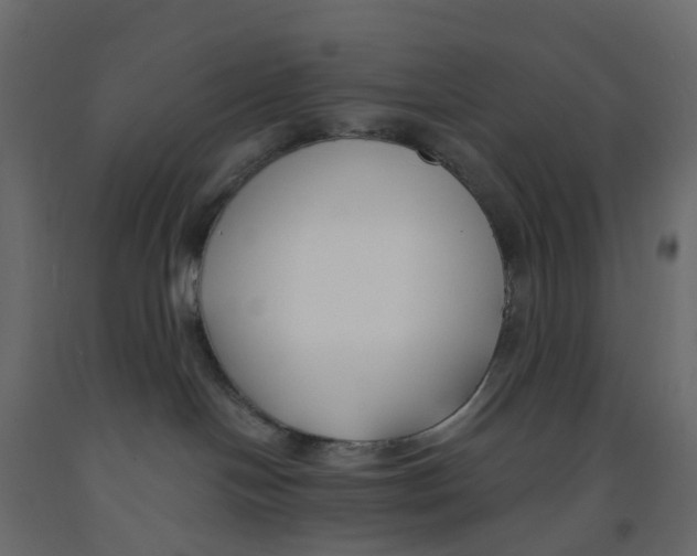 X0000091990094200710041138