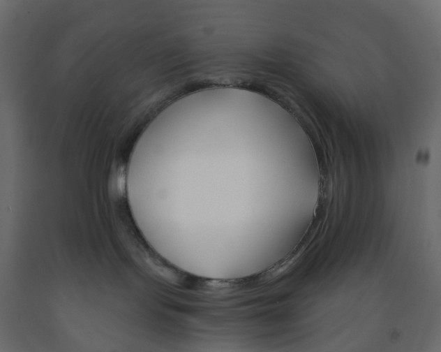 X0000091990095200710041138