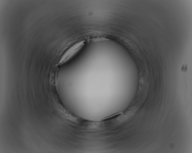 X0000091990096200710041138