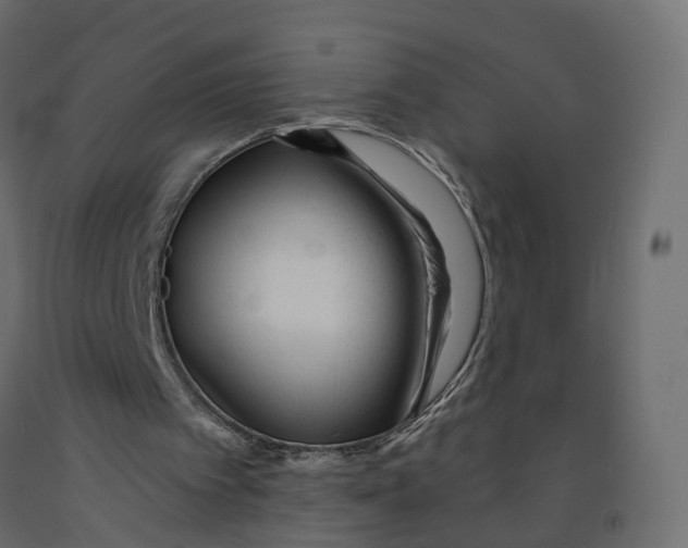 X0000091990097200710041138
