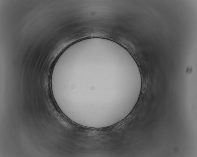 X0000091990098200710041138