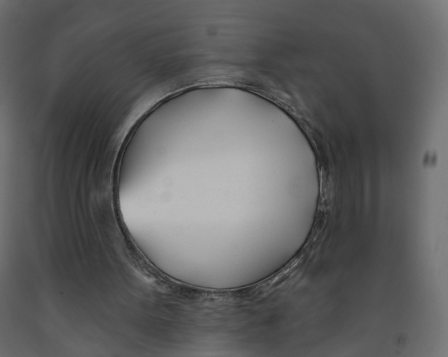 X0000091990099200710041138